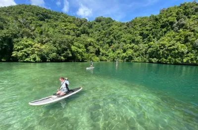 people on SUPs in a bay in Palau