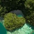  Milky Way, Shark Island & More