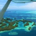 Group Flight A - Milky Way, Jellyfish Lake & Koror